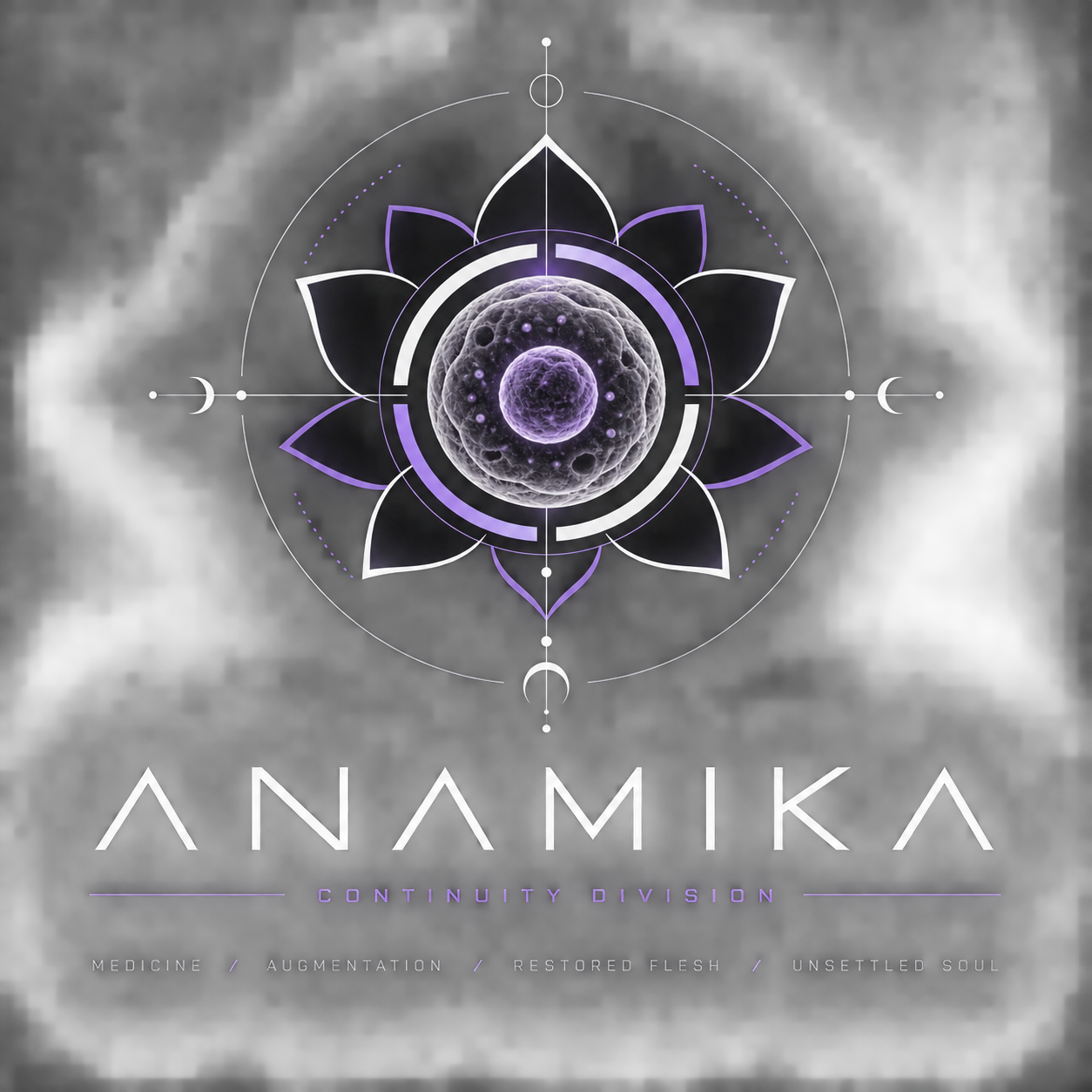 Anamika continuity division emblem draft